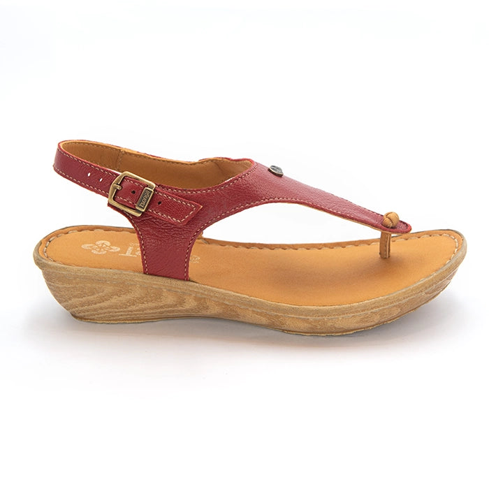 A single T-strap sandal with red leather straps and tan footbeds, displayed on a clean white background. The brand name 'Tslops' is visible on the footbed.