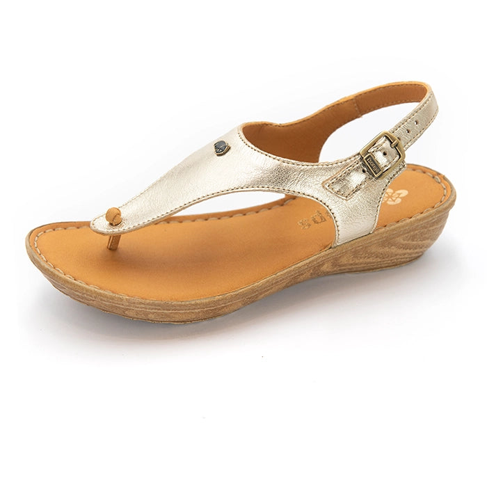 A single women's wedge sandal with a metallic champagne-gold toe strap, tan leather footbed, adjustable ankle strap with a gold buckle, and a beige wedge heel, shown on a white background.